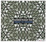 Kathrin Pechlof Trio - Toward the unknown