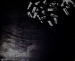 Bardo – Bardo