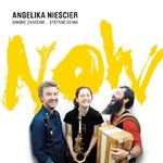 Angelika Niescier - Now