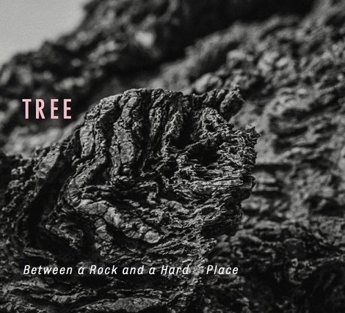 TREE - Between A Rock And A Hard Place TREE - Between A Rock And A Hard Place