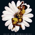 Fiorini-Houben Quartet: Bees And Bumblebees