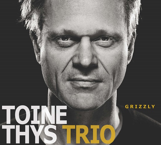 Toine Thys Trio: Grizzly Toine Thys Trio: Grizzly