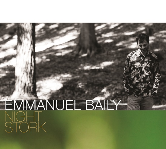 Emmanuel Baily: Night Stork (ferdinand dupuis-panther)