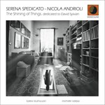 Serena Spedicato / Nicola Andrioli - The shining of things: dedicated to David Sylvian