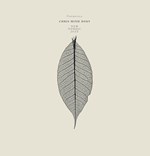 Chris Minh Doky – New Nordic Jazz: Transparency