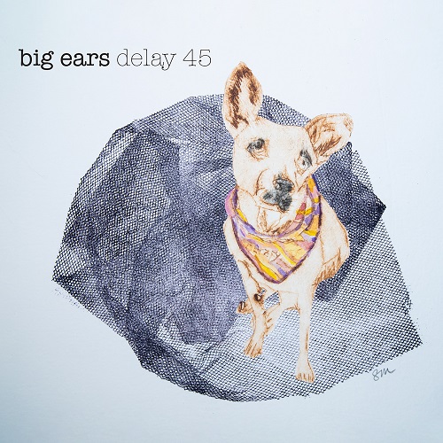 Delay 45 - big ears