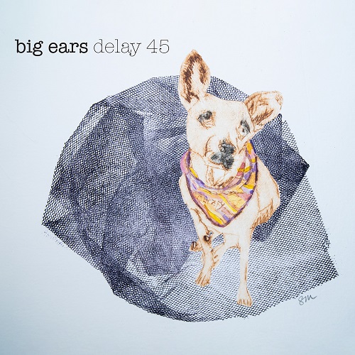 Delay 45 - big ears Delay 45 - big ears
