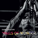 Daniel Dzidzonu – Walls Of Wonder