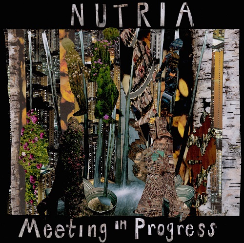 Nutria - Meeting In Progress Nutria - Meeting In Progress