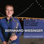 Bernhard Wiesinger  - Notice That Moment