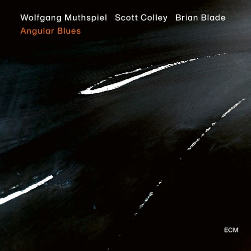 Wolfgang Muthspiel Trio - Angular Blues