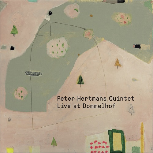 Peter Hertmans Quartet - Live at Dommelhof