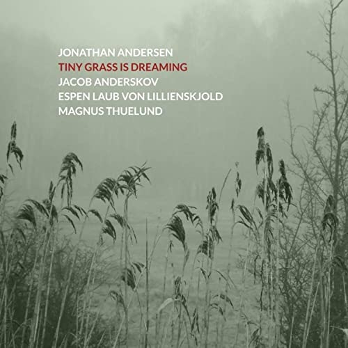 Jonathan Andersen – Tiny Grass Is Dreaming