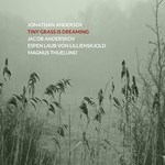 Jonathan Andersen – Tiny Grass Is Dreaming