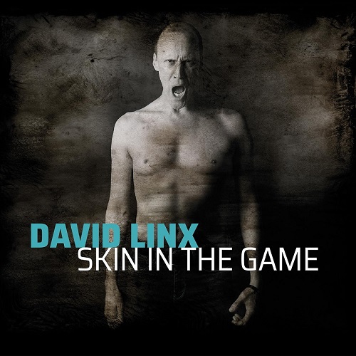 David Linx - Skin in the game David Linx - Skin in the game
