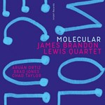 James Brandon Lewis Quartet - Molecular