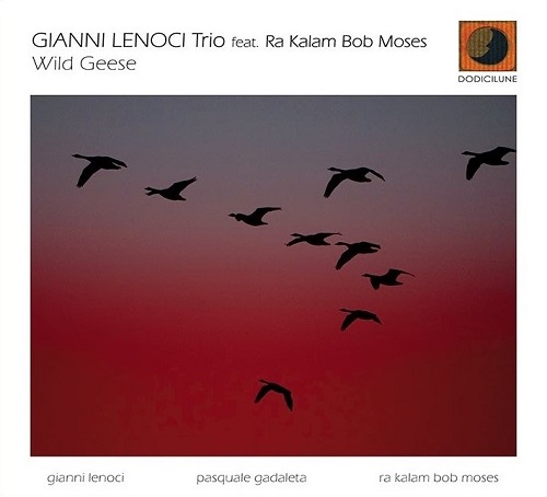 Gianni Lenoci Trio - Wild Geese