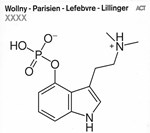 Wollny / Parisien / Lefebvre / Lillinger  - XXXX