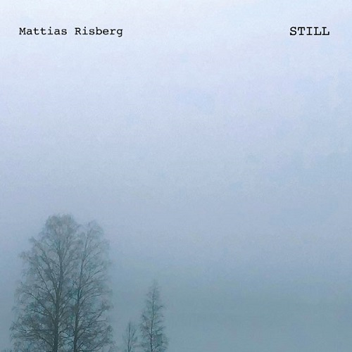 Mattias Risberg - Still