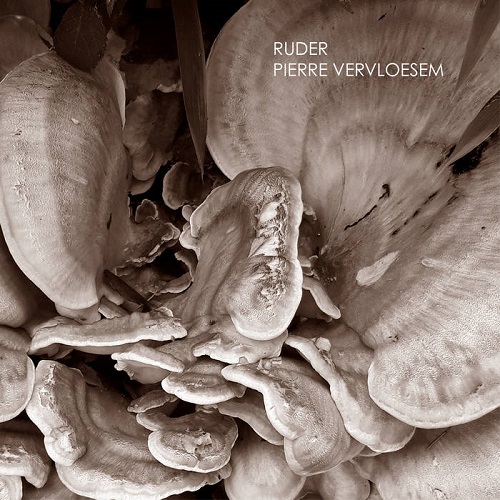 Pierre Vervloesem – Ruder Pierre Vervloesem – Ruder