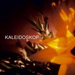Kaleidoskop – Sundflower