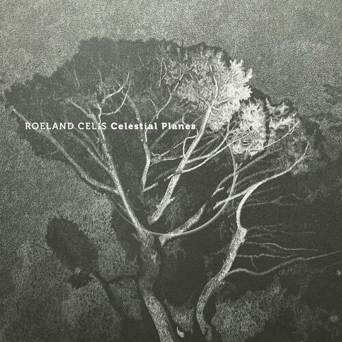 Roeland Celis - Celestial Planes