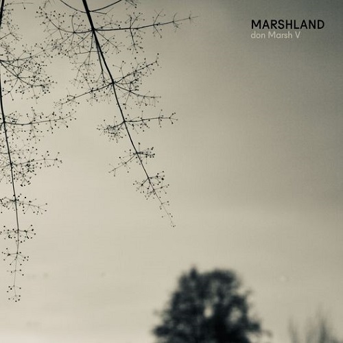 don Marsh V - Marshland