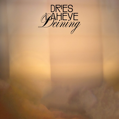 Dries Laheye – Deining