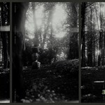 Eyolf Dale – The Wayfarers
