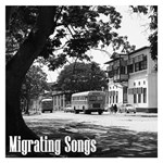 Niclas Knudsen Trio - Migrating Songs