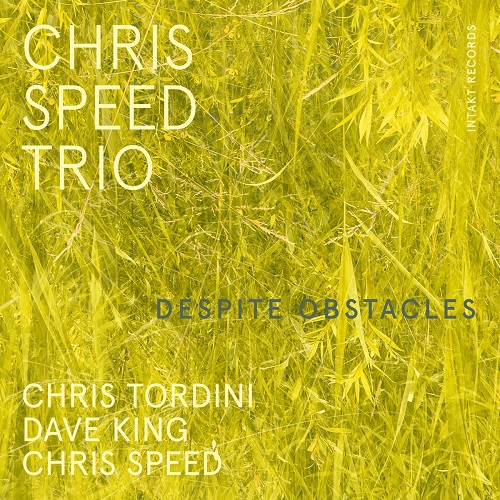 Chris Speed Trio – Despite Obstacles