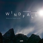 Ensemble Denada: Windfall