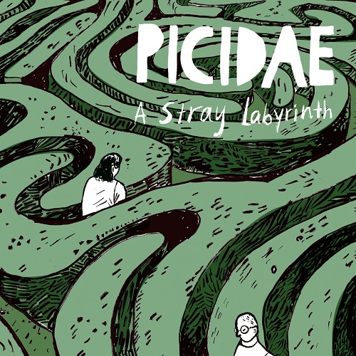 Picidae - A Stray Labyrinth
