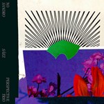 Sandro Sáez Trio – No Perspective