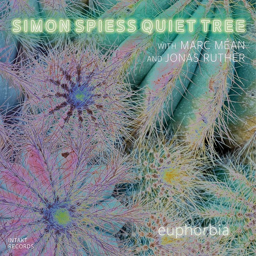 Simon Spiess Quiet Tree - Euphorbia