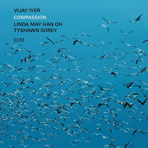 Vijay Iyer – Compassion