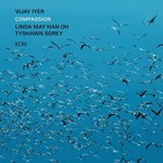 Vijay Iyer – Compassion