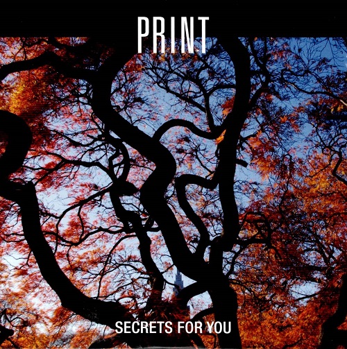 PRINT  -  Secrets For You