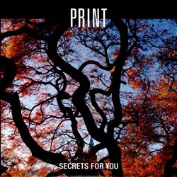 PRINT  -  Secrets For You