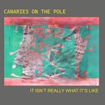 Canaries On The Pole – It Isn’t Really What it’s Like