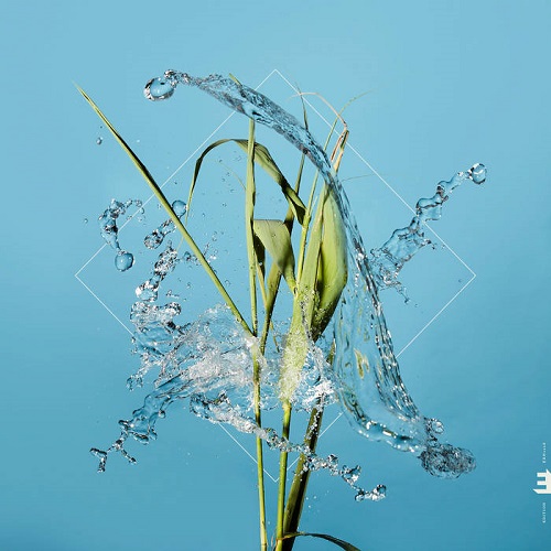 Fergus McCreadie – Stream Fergus McCreadie – Stream