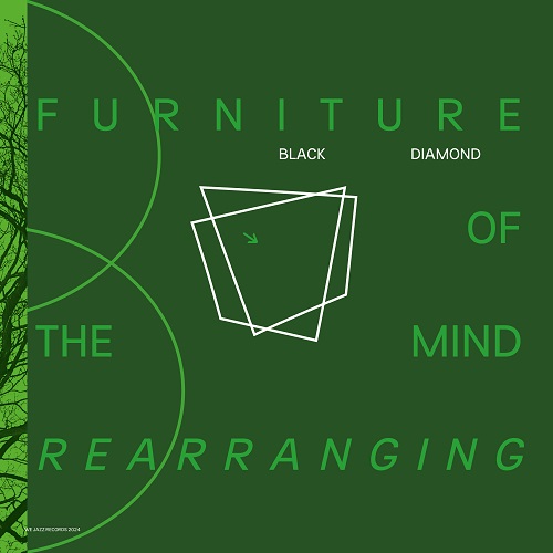 Black Diamond - Furniture Of the Mind Rearranging Black Diamond - Furniture Of the Mind Rearranging