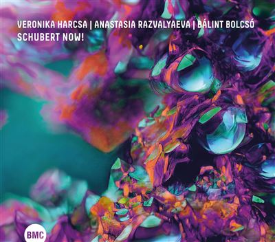 Veronika Harcsa, Anastasia Razvalyaeva, Bálint Bolcsó – Schubert NOW!