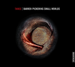 Darren Pickering Small Worlds – THREE