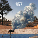 The Rookies – Feed the Fire