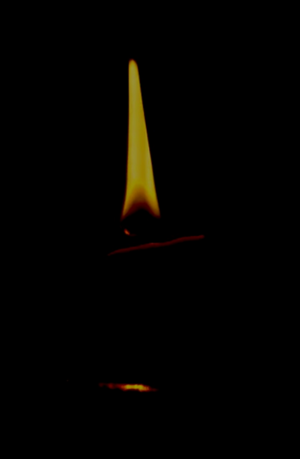 Festival Parma Frontière “Be A Candle In The Darkness”