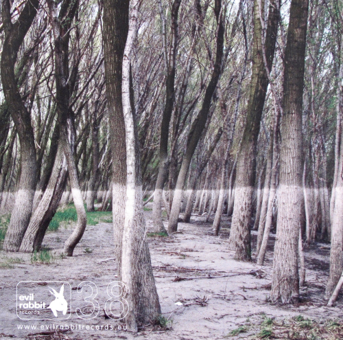 Floridis / Bauer / Hertenstein - Temporal Driftness