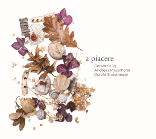 Gerald Selig, Andreas Mayerhofer, Gerald Endstrasser  -  a piacere