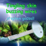 Stephen Godsall - Tingling skin, buzzing wires