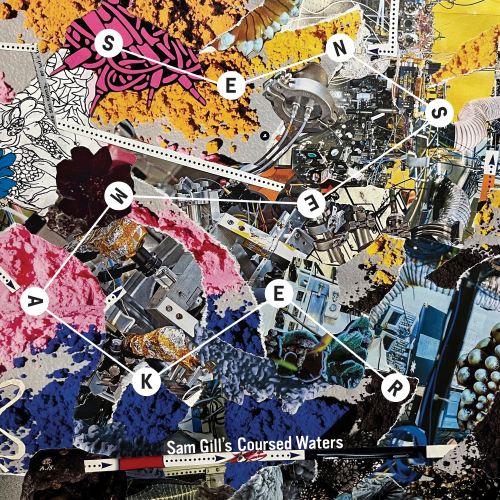 Sam Gill’s Coursed Waters – Sensemaker